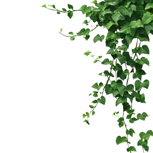 Floating leaves bottom