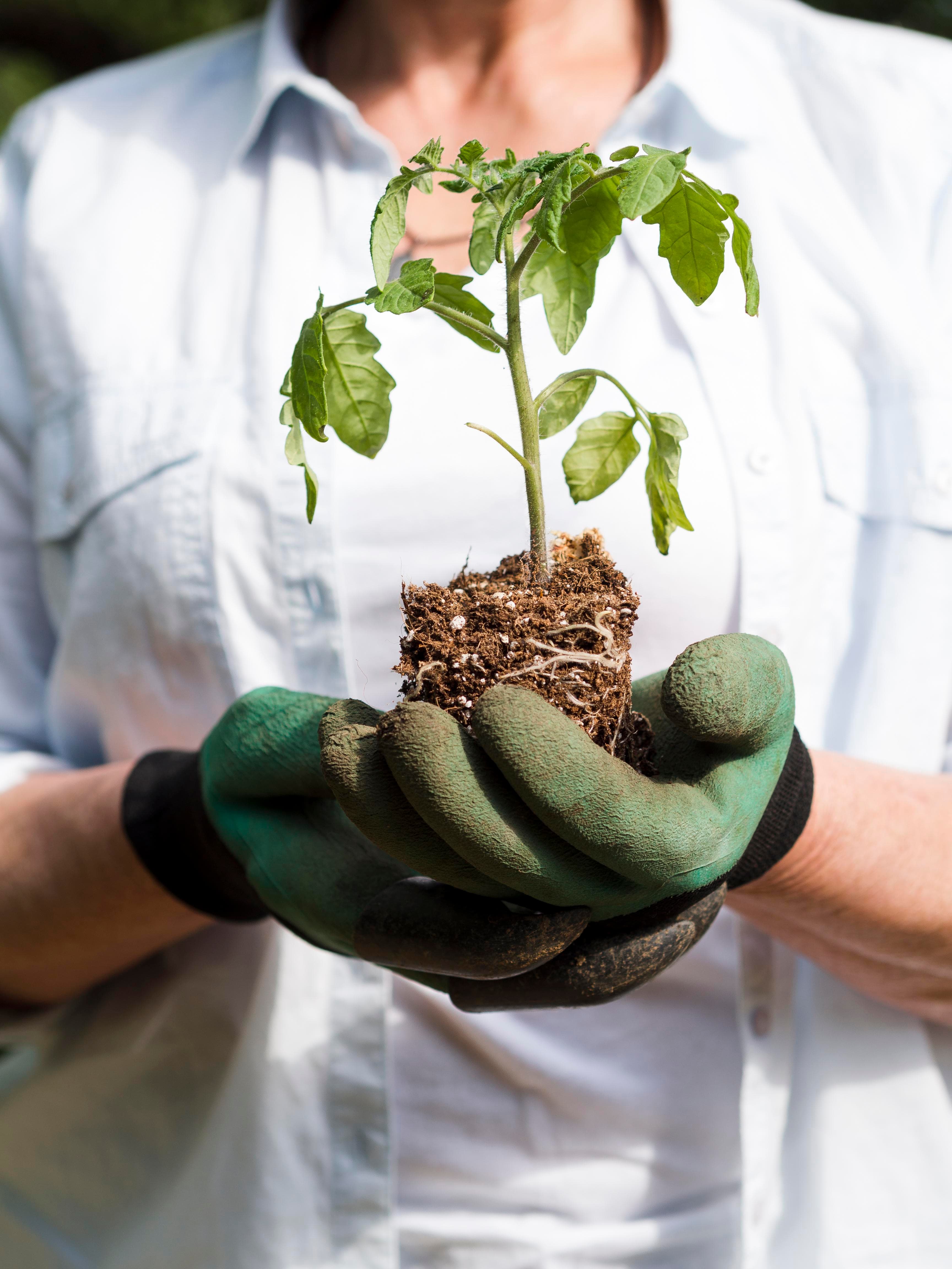 Our story - spice farmers